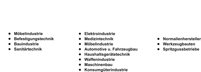 Eigenprogramm  •	Möbelindustrie •	Befestigungstechnik •	Bauindustrie •	Sanitärtechnik Technische Teile •	Elektroindustrie •	Medizintechnik •	Möbelindustrie •	Automotive u. Fahrzeugbau •	Haushaltsgerätetechnik •	Waffenindustrie •	Maschinenbau •	Konsumgüterindustrie BAKRA®  Schnellspannsysteme •	Normalienhersteller •	Werkzeugbauten •	Spritzgussbetriebe