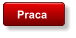 Praca